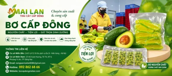 Bơ Cấp Đông Là Gì? Quy Trình Sản Xuất Bơ Cấp Đông Mai Lan