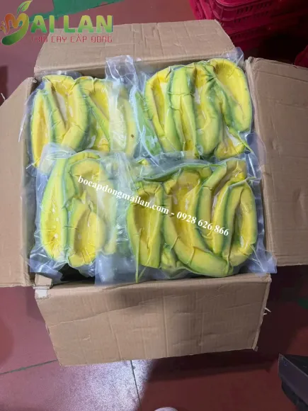 Bơ Cấp Đông Có Làm Nguyên Liệu Sản Xuất Nước Uống Được Không? Giải Pháp Cho Doanh Nghiệp F&B Và Nhà Máy Đồ Uống
