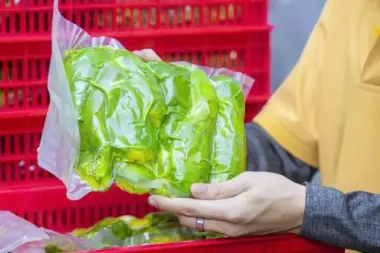 Bơ 034 túi lớn (1kg)