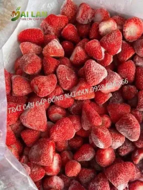 DÂU TÂY CẤP ĐÔNG MAI LAN – TÚI 100G