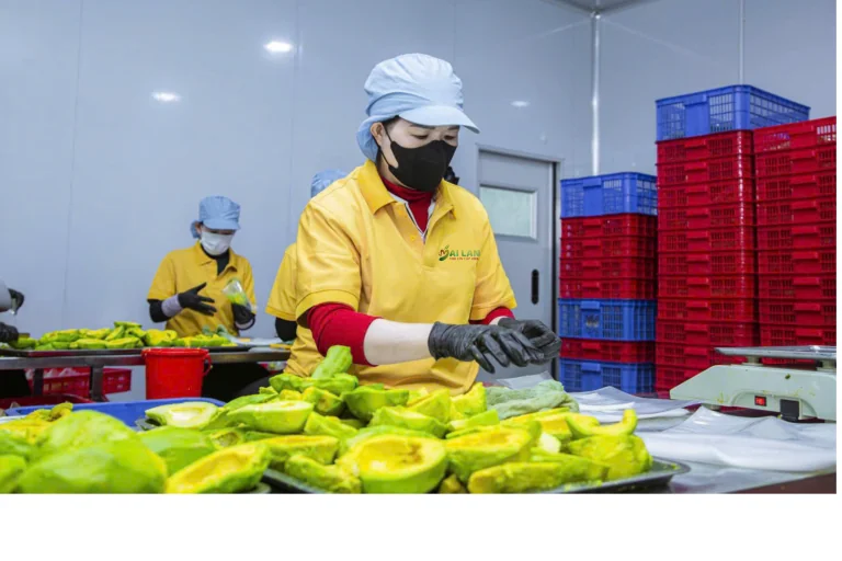 CÂU CHUYỆN VỀ CHÚNG TÔI