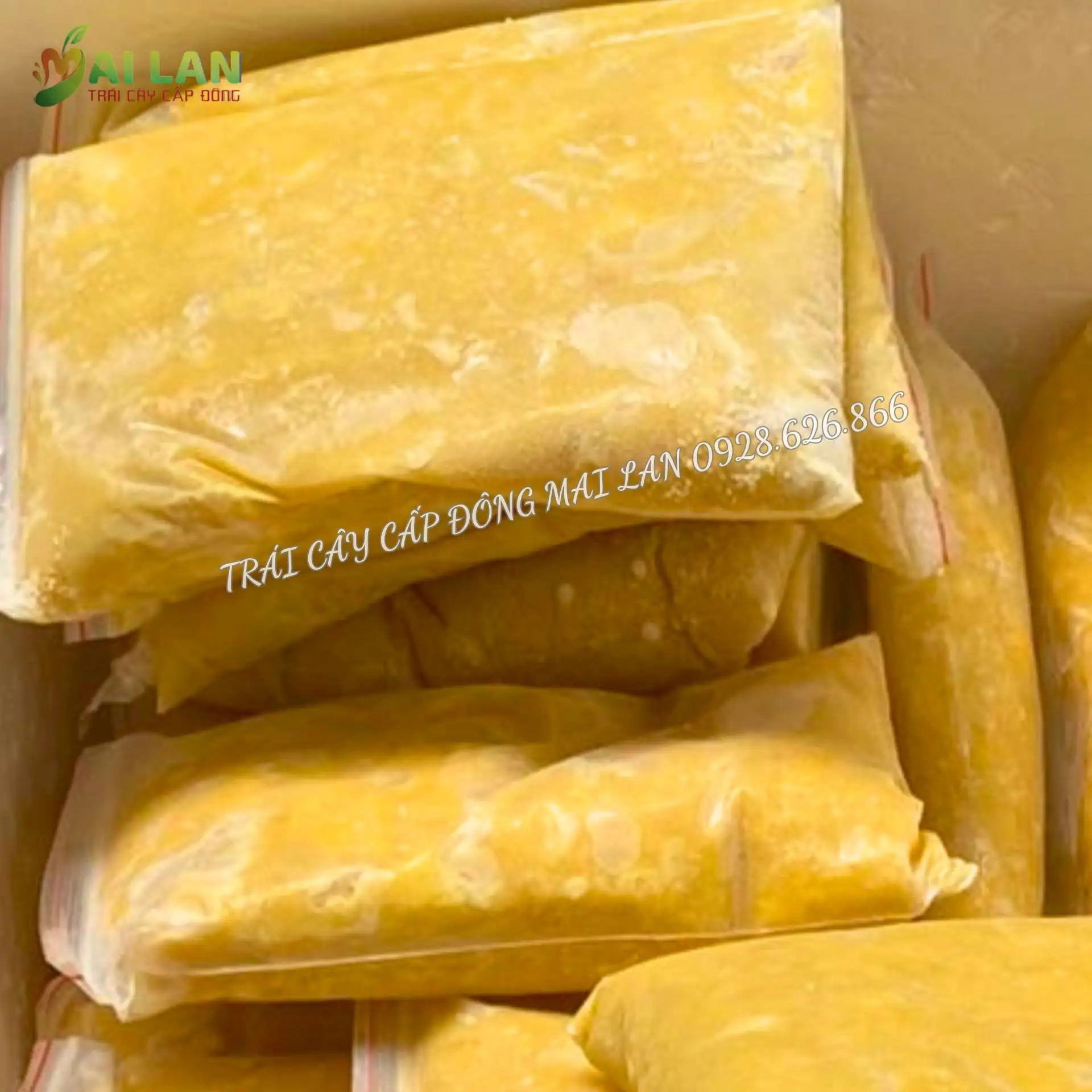 Sầu ri&ecirc;ng cấp đ&ocirc;ng