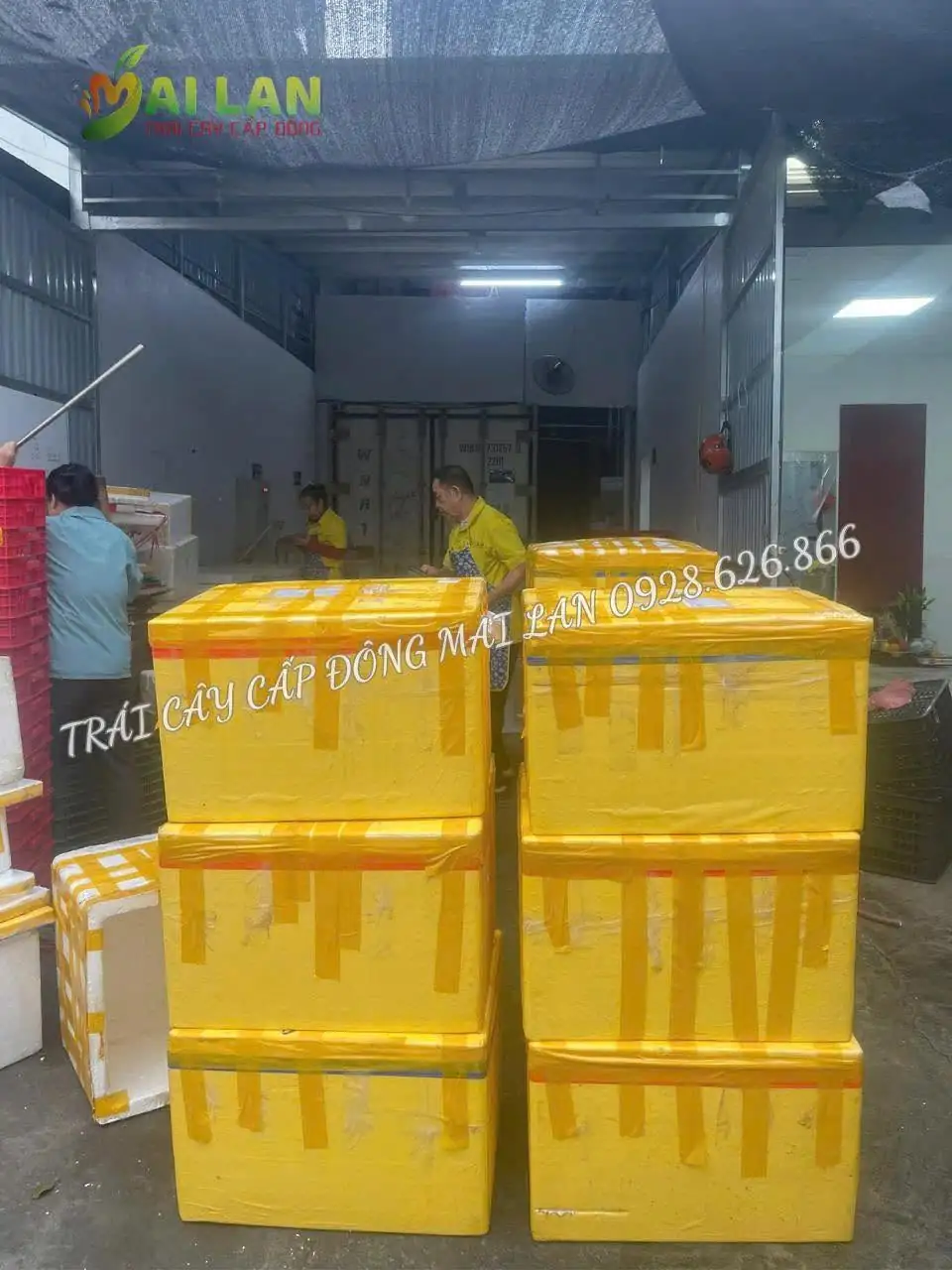 bơ cấp đ&ocirc;ng gi&aacute; sỉ