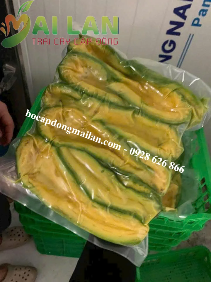 bơ cấp đ&ocirc;ng gi&aacute; sỉ