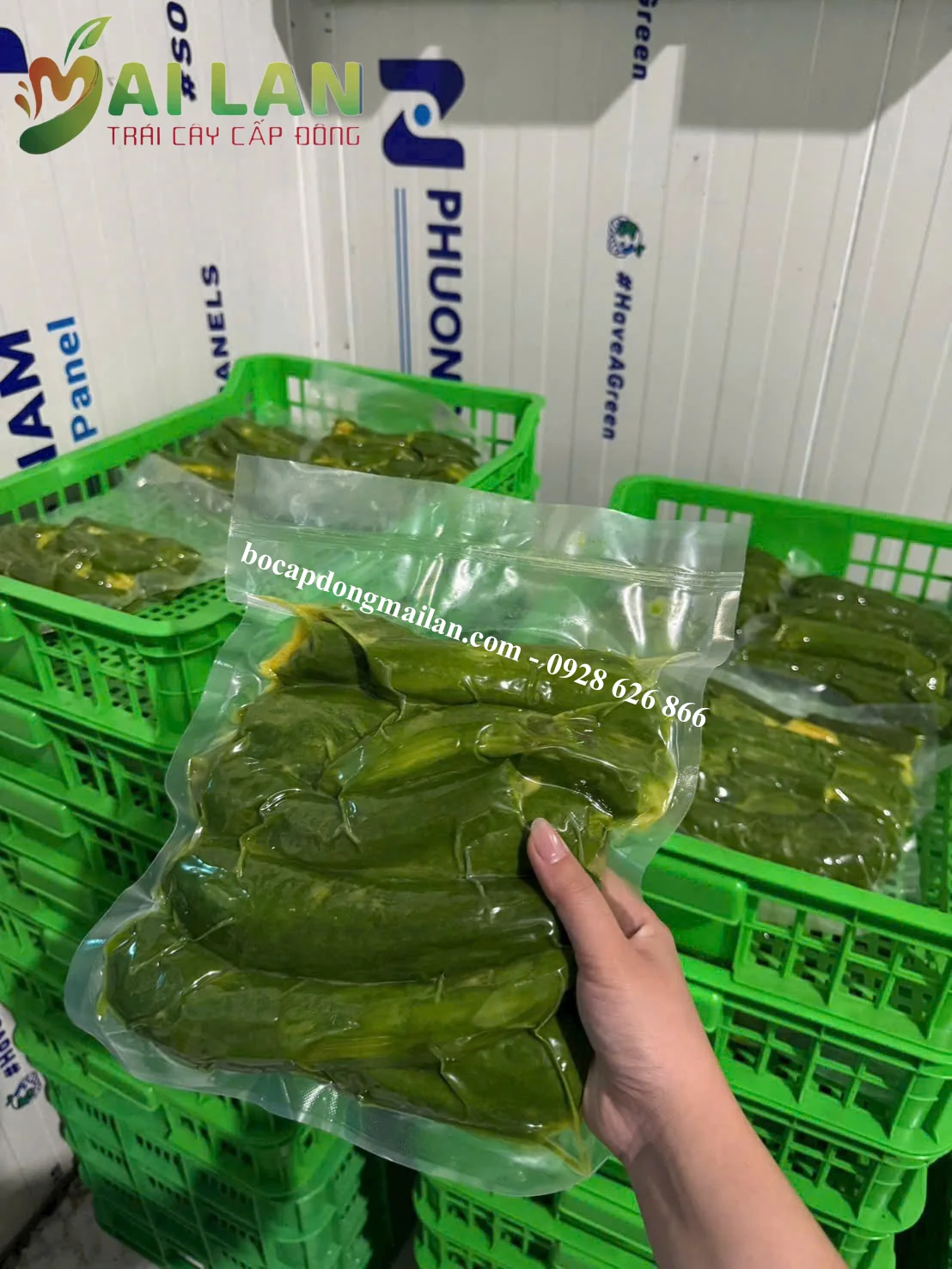 bơ cấp đông